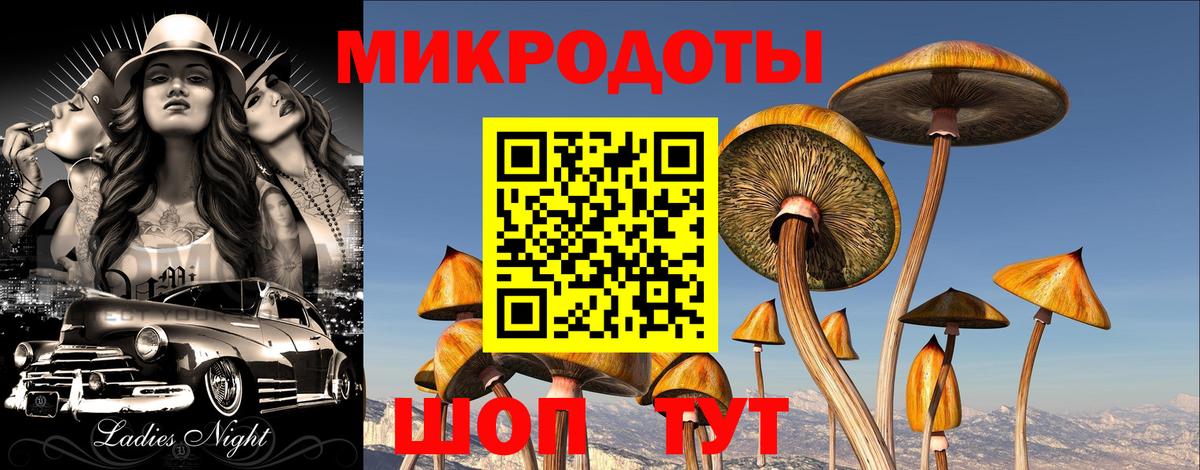 Псилоцибиновые грибы Psilocybine cubensis  Вход с VPN  Галлюциногенные грибы мухоморы  Пушкино 