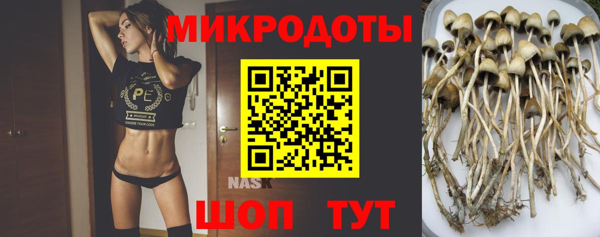 Галлюциногенные грибы MAGIC MUSHROOMS Пушкино